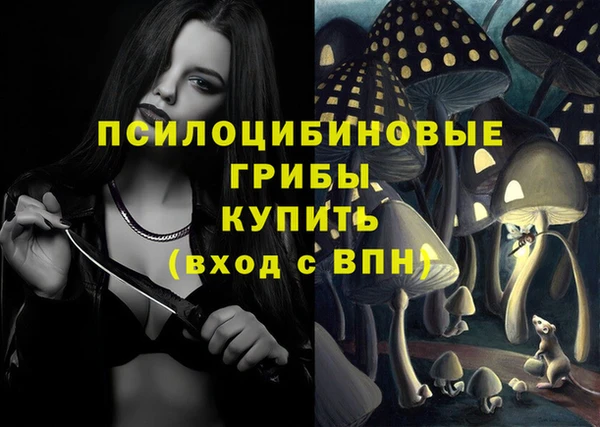 ALPHA PVP Алексин