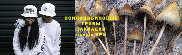 марки nbome Алексеевка