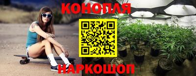 стафф Берёзовский