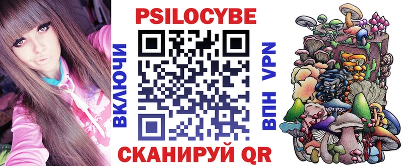 Галлюциногенные грибы Psilocybe  где продают   Бердск 