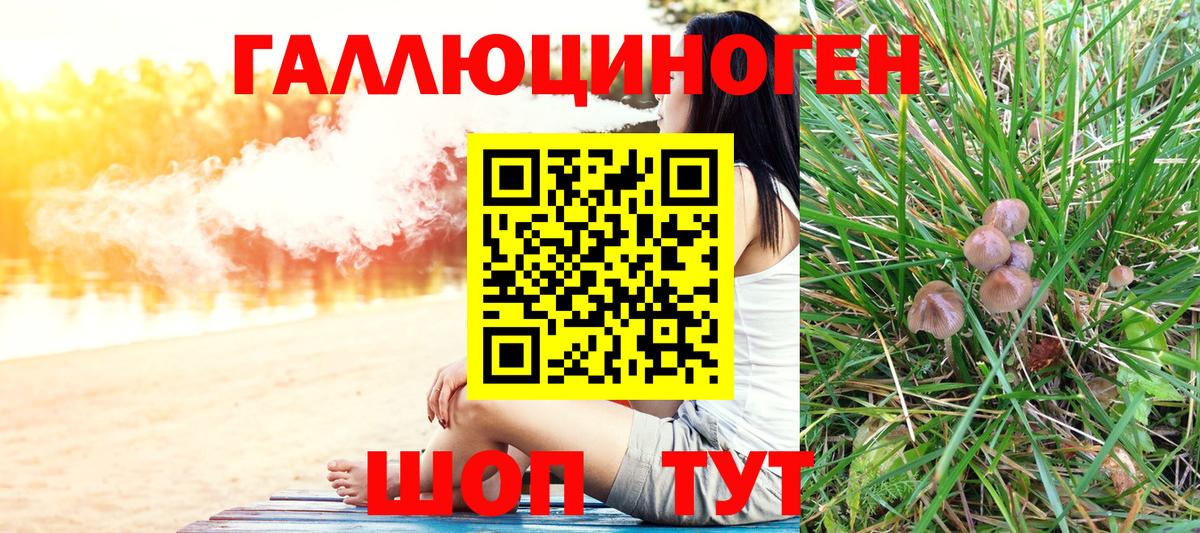Псилоцибиновые грибы Magic Shrooms Бердск