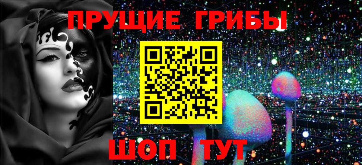 Галлюциногенные грибы Psilocybe  Вход с VPN  Бердск 